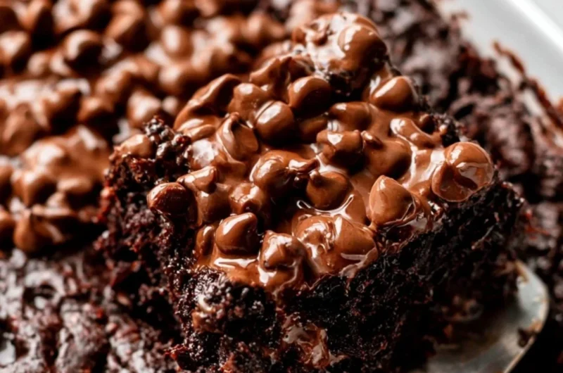 Delicious chocolate dump cake topped with chocolate frosting on a white plate.