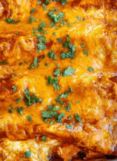 Delicious Vegetarian Enchiladas topped with fresh herbs and spices