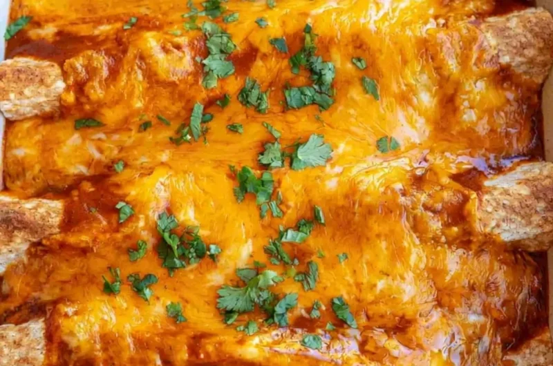 Delicious Vegetarian Enchiladas topped with fresh herbs and spices